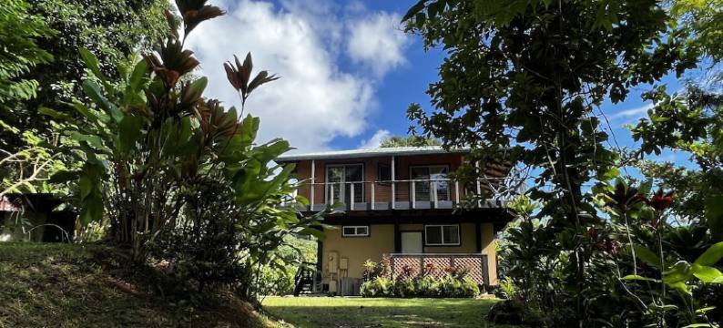 Stay in Hana #1图片