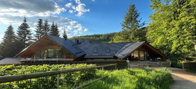 Recreation in the forest - with swimming pool!图片