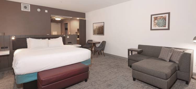 钱德勒市区希尔顿花园酒店(Hilton Garden Inn Chandler Downtown)图片