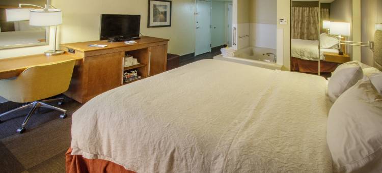 希尔顿欢朋酒店-南黑文(Hampton Inn South Haven)图片