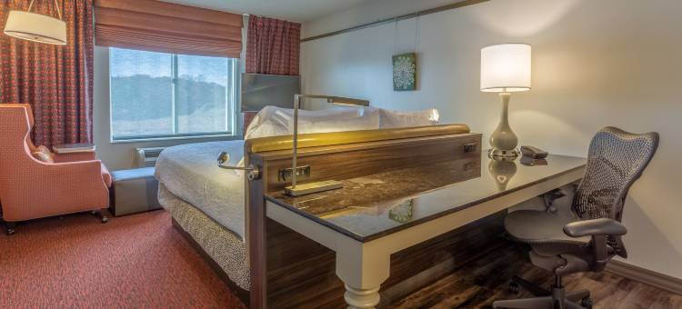 巴尔的摩奥因斯米尔斯希尔顿花园酒店(Hilton Garden Inn Baltimore/Owings Mills)图片