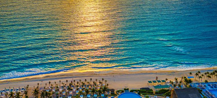 坎昆水上生活海滩度假村(Live Aqua Beach Resort Cancun)图片