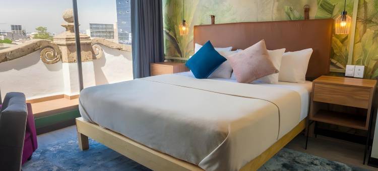 塞利纳墨西哥城市中心酒店(Hotel Virreyes México)图片