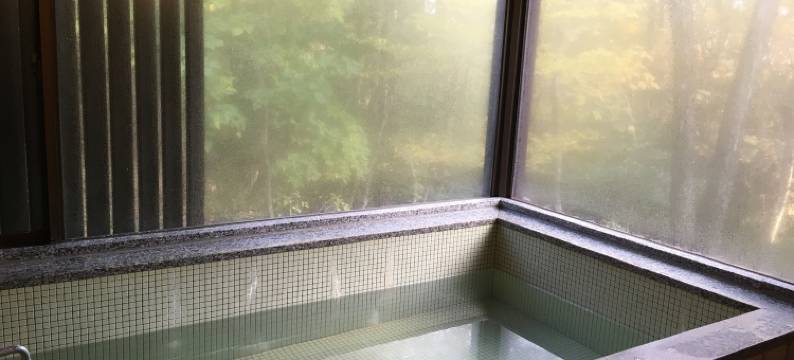 心陆丘陵酒店12号茶室房(Heartland Hills in Noto 12 Sukiya Zukuri House)图片