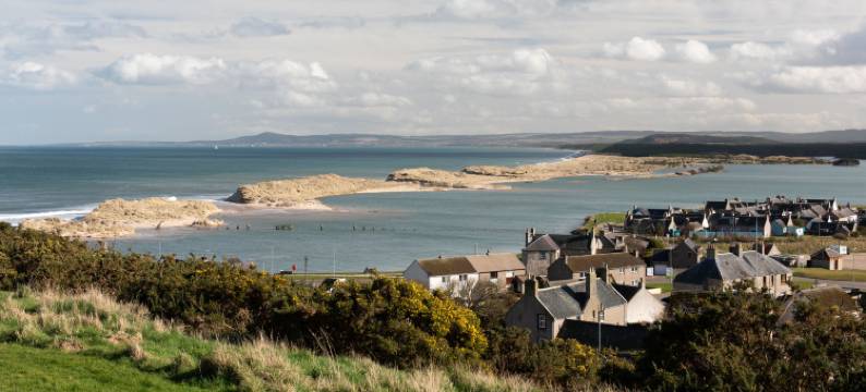 Harbour Nights 7E图片