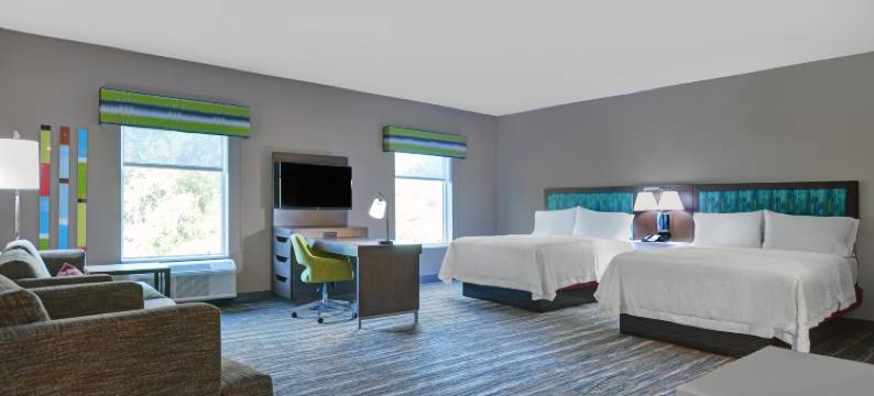 欢朋套房酒店和套房麦克伦尼I-10(Hampton Inn and Suites MacClenny I-10)图片