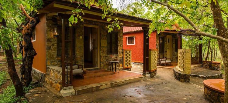 风中之花森林度假村及水疗中心(The Windflower Jungle Resort & Spa, Bandipur)图片