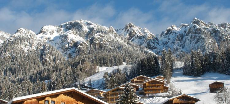 阿尔卑巴赫高级木屋旅馆(Alpbach Lodge Chalet Superior)图片