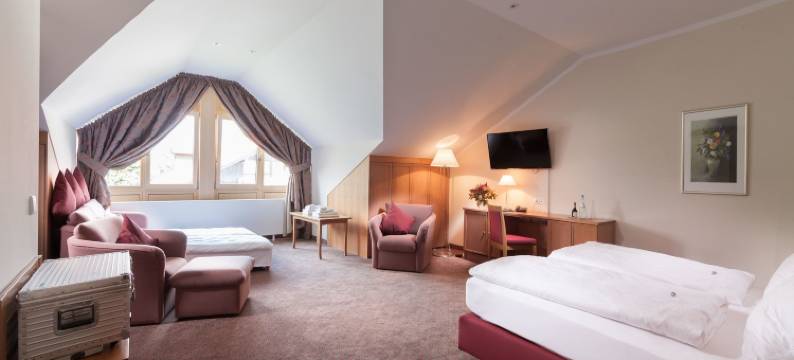 哈钦格霍夫酒店(Hotel Hachinger Hof)图片