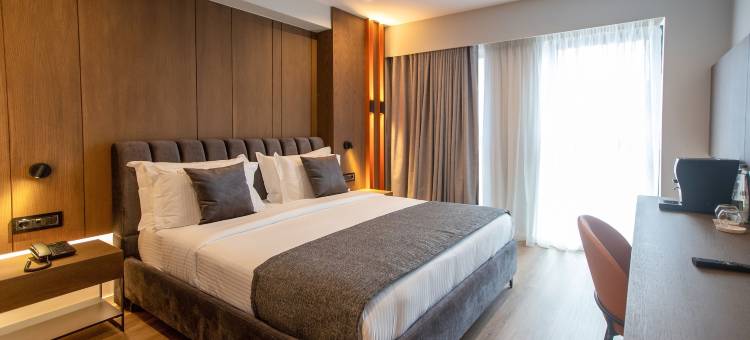 由Meliá附属的廷拉那埃丽莎酒店(Hotel Elisa Tirana, Affiliated by Meliá)图片