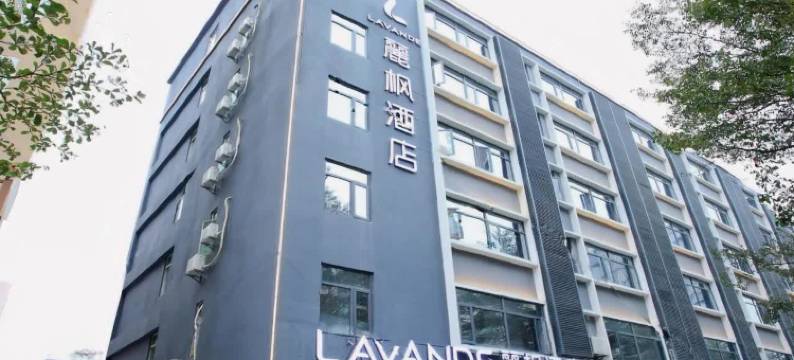 麗枫酒店(深圳万科云城西丽地铁站店)图片