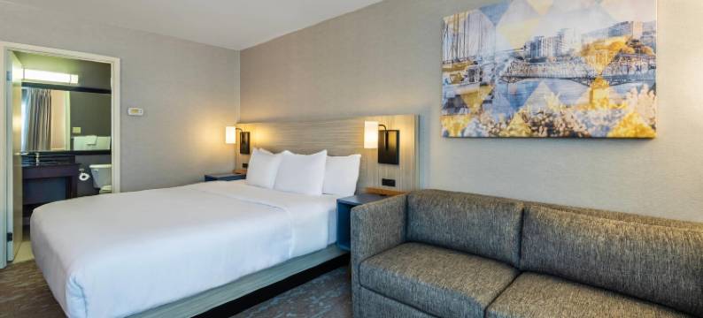 舒适酒店(Comfort Inn Gatineau)图片