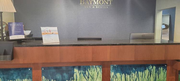 桑顿温德姆呗盟酒店(Baymont by Wyndham Thornton)图片