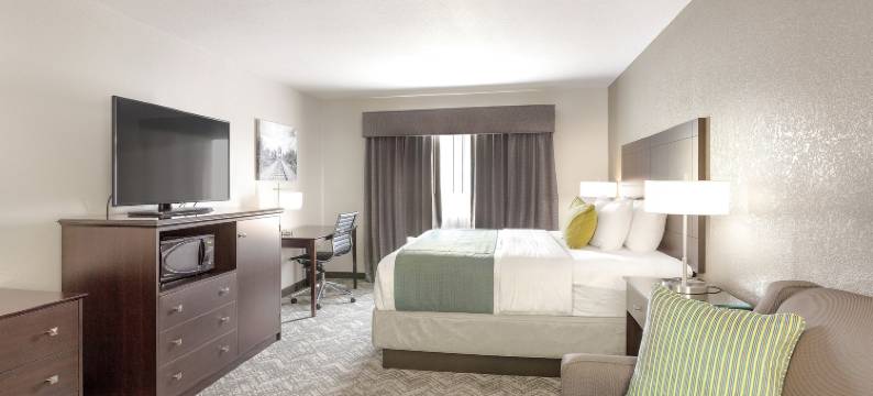 图拉丁-南奥斯威戈湖舒适套房酒店(Comfort Inn & Suites Tualatin - Lake Oswego South)图片