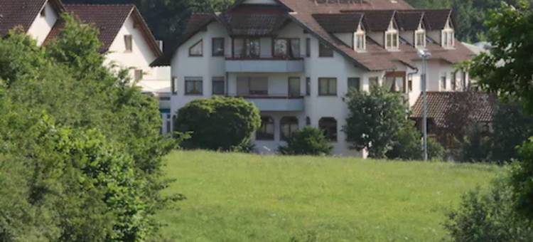 Hotel Empfinger Hof, Sure Hotel Collection by Best Western图片