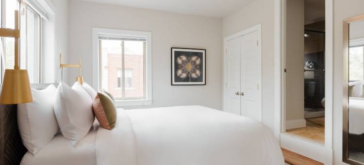 卡萨德尔雷亚历山德里亚(Kasa Del Ray Alexandria)图片