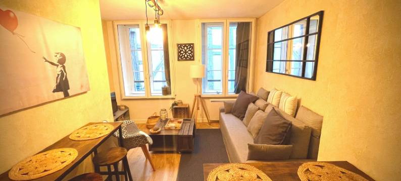 魅力帕约洛 超级中心(Le Charmant Paillot Hyper Centre classé)图片