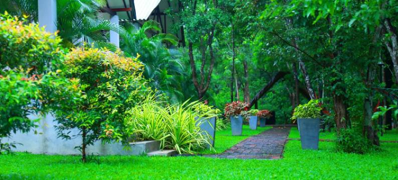 维维拉酒店(Hotel Viverra)图片