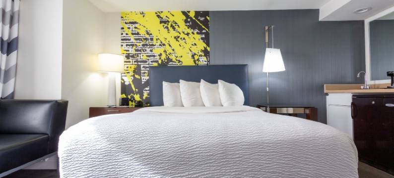 巴尔的摩内港舒适套房酒店(Comfort Inn & Suites Baltimore Inner Harbor)图片