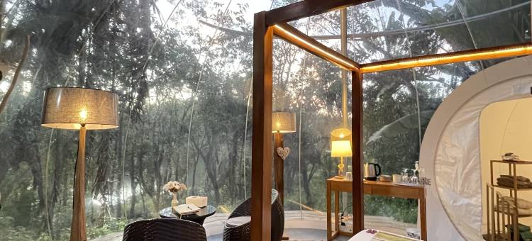 布瓦谢里泡泡小屋(Bubble Lodge Bois Chéri Plantation)图片
