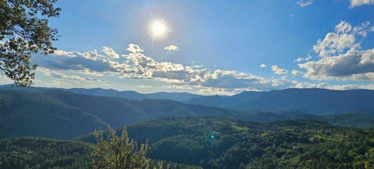 午间的香气(Les Parfums du Midi)图片