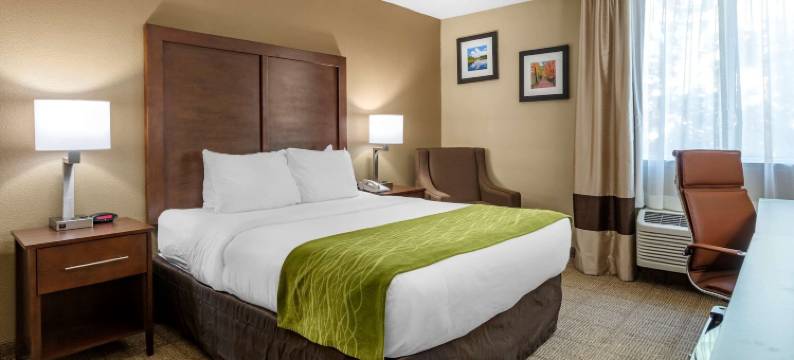 爱迪生新不伦瑞克舒适酒店(Comfort Inn Edison - New Brunswick)图片