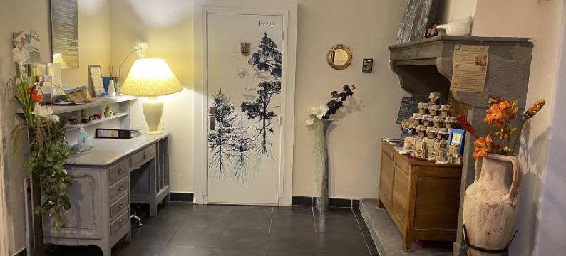 奥比瓦肯酒店(A l'Aube des Volcans)图片