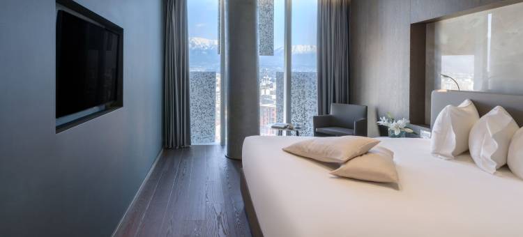 地拉那玛丽蒂姆广场酒店(Maritim Hotel Plaza Tirana)图片