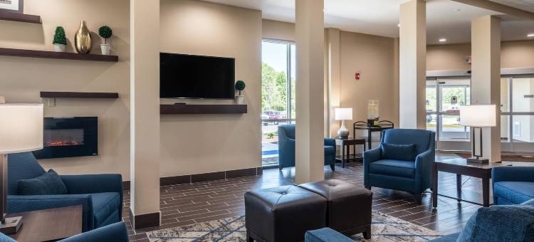 爱德华兹维尔圣路易斯舒适酒店(Comfort Inn Edwardsville - St Louis)图片