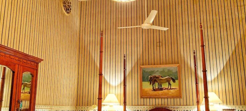 尼瓦斯布翰瓦尔酒店(Bhanwar Niwas)图片