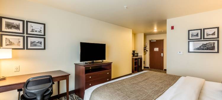 鹅卵石套房酒店-奇珀瓦福尔斯(Cobblestone Hotel & Suites - Chippewa Falls)图片