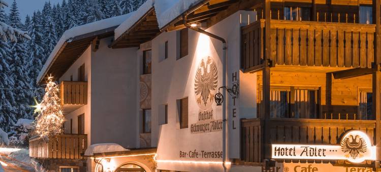 阿德勒酒店(Hotel Adler Carezza)图片