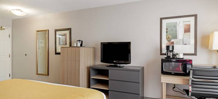 路易斯维尔丽怡酒店(Country Inn & Suites by Radisson, Lewisville, TX)图片