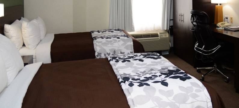 南海文霍恩莱克舒眠酒店(Sleep Inn Horn Lake-Southaven)图片