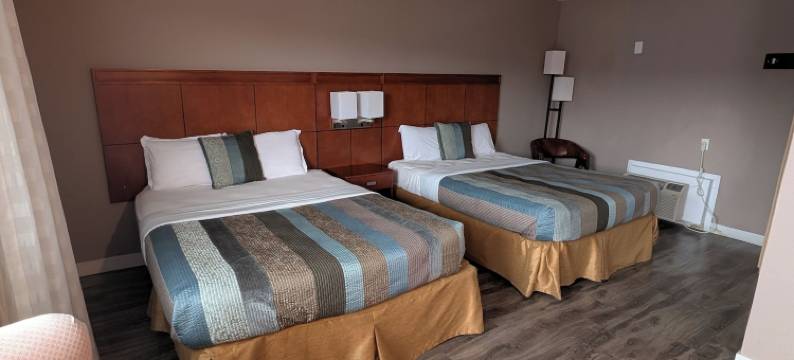 住 7 晚酒店(7 Nights Stay)图片