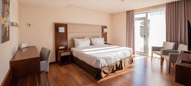 波尔图欧洲之星酒店(Eurostars Oporto)图片