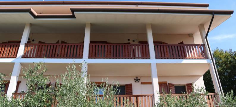 阿拉皮内塔酒店(Albergo Alla Pineta)图片