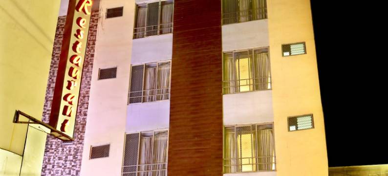 向日葵酒店(Hotel Sunflower Udaipur)图片