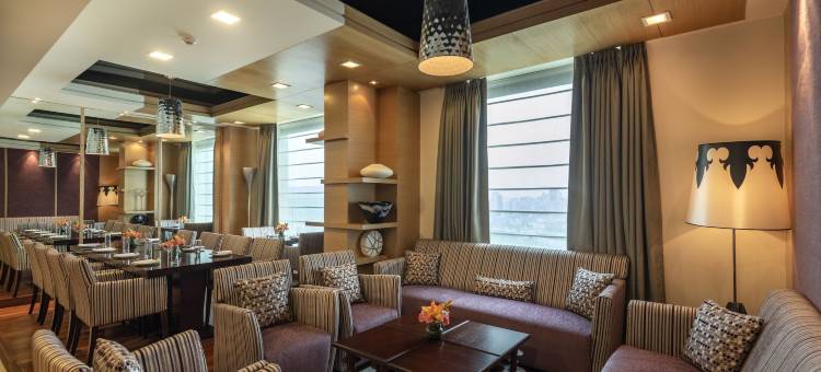 古尔冈市中心索赫纳路丽笙酒店(Radisson Gurugram Sohna Road City Center)图片