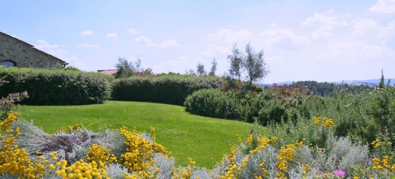 波德尔皮诺乡村民宿(Podere Il Pino)图片