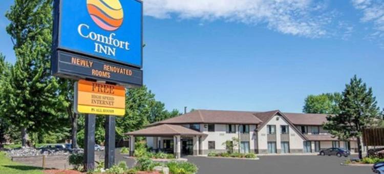 舒适酒店湖滨店(Comfort Inn Lakeshore)图片