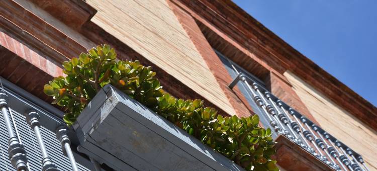 阿尔玛拉民宿(Casa Almara)图片