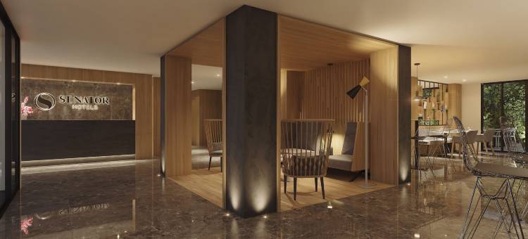 卡拉米洛参议员酒店(Senator Cala Millor)图片