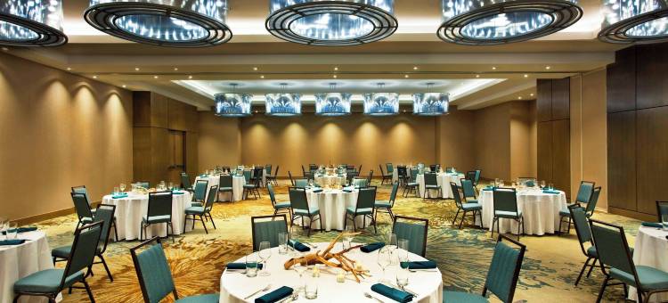 吉柯岛威斯汀酒店(The Westin Jekyll Island Beach Resort)图片