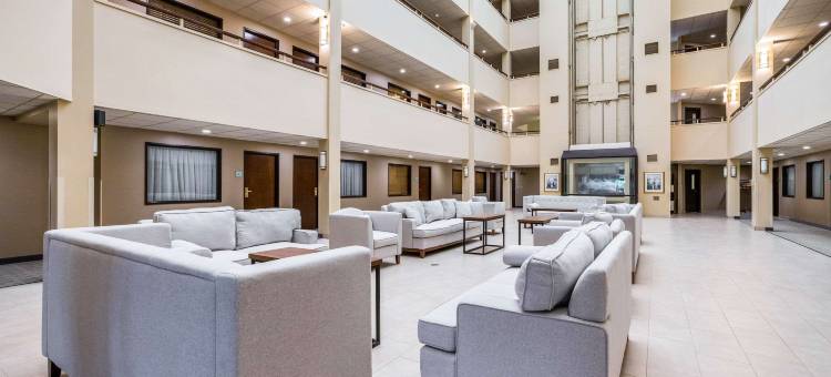 兰辛魁利提套房酒店(Quality Suites)图片