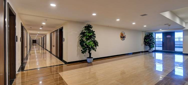 提普顶国际酒店(Hotel TIP Top International Pune)图片