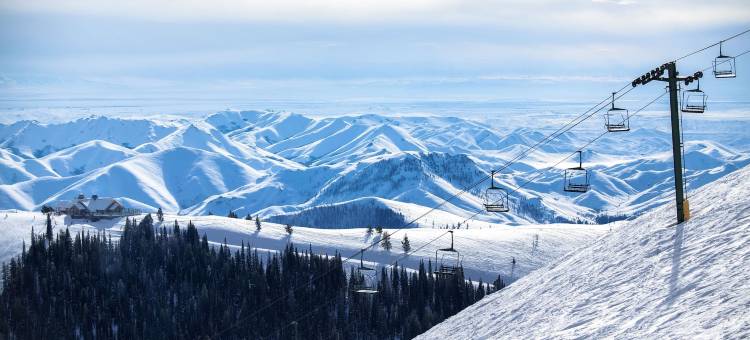 塔玛拉克小屋太阳谷(Tamarack Lodge)图片