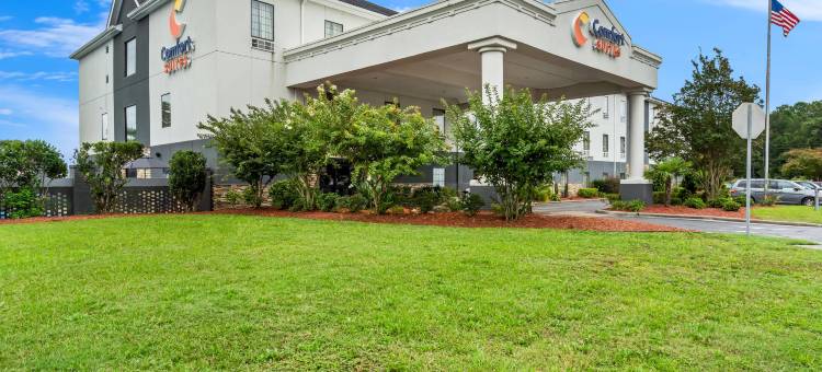 勒琼营附近舒适全套房酒店(Comfort Suites Near Camp Lejeune)图片