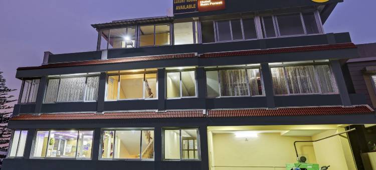 Itsy酒店雨林(Itsy Hotels Rain Forest)图片