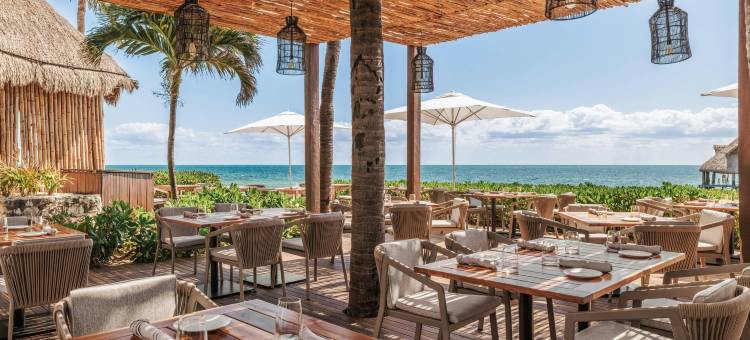 佐特里帕拉伊索德拉博尼塔度假酒店(Paraíso de la Bonita, Member of Royalton Reserve Collection)图片